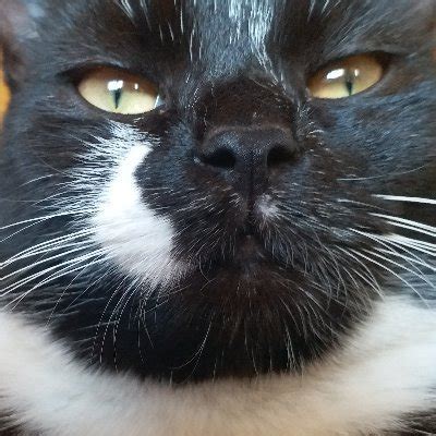 777 (@Druzkivka) / Twitter.